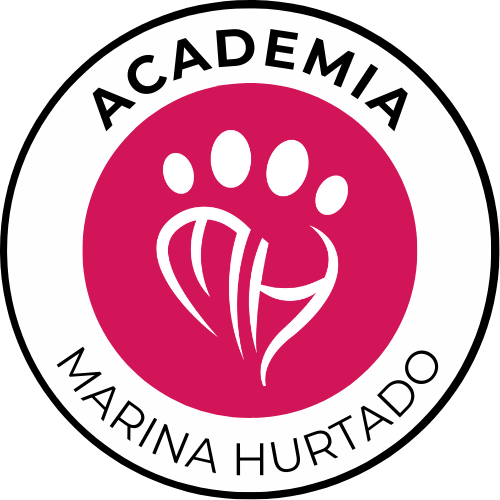 logo dashboard