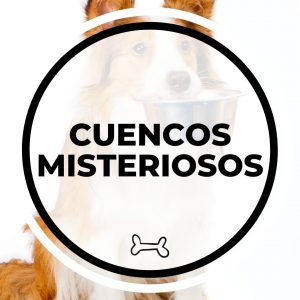 juegos cuencos misteriosos